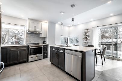 maison à vendre Montréal (Mercier/Hochelaga-Maisonneuve) Rive-Nord